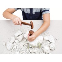 Coffret archéologique