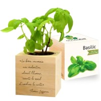 Écocube personnalisé